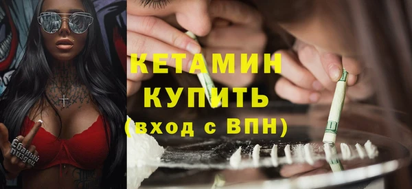 дживик Чита