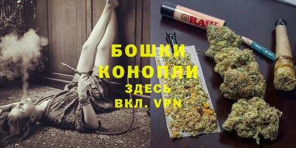 мдпв Михайловск