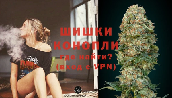 мдпв Михайловск