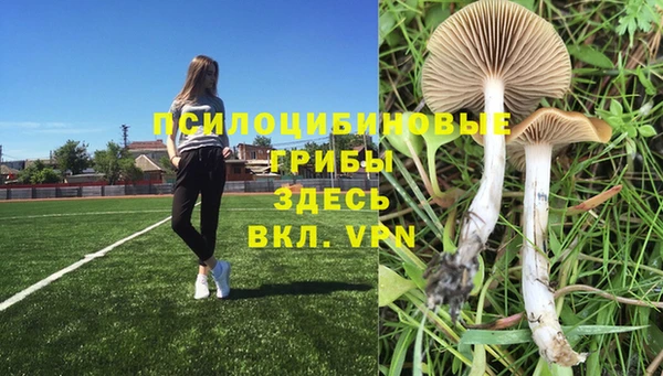 мдпв Михайловск