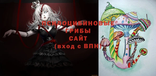 мдпв Михайловск