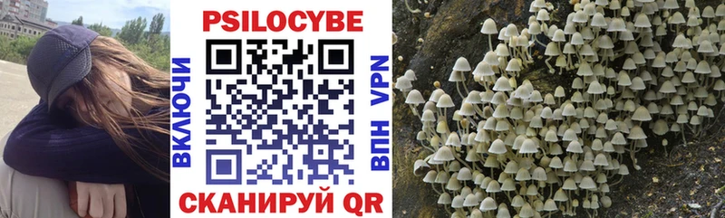 это Telegram  Сызрань  Галлюциногенные грибы Cubensis  MEGA ссылки 