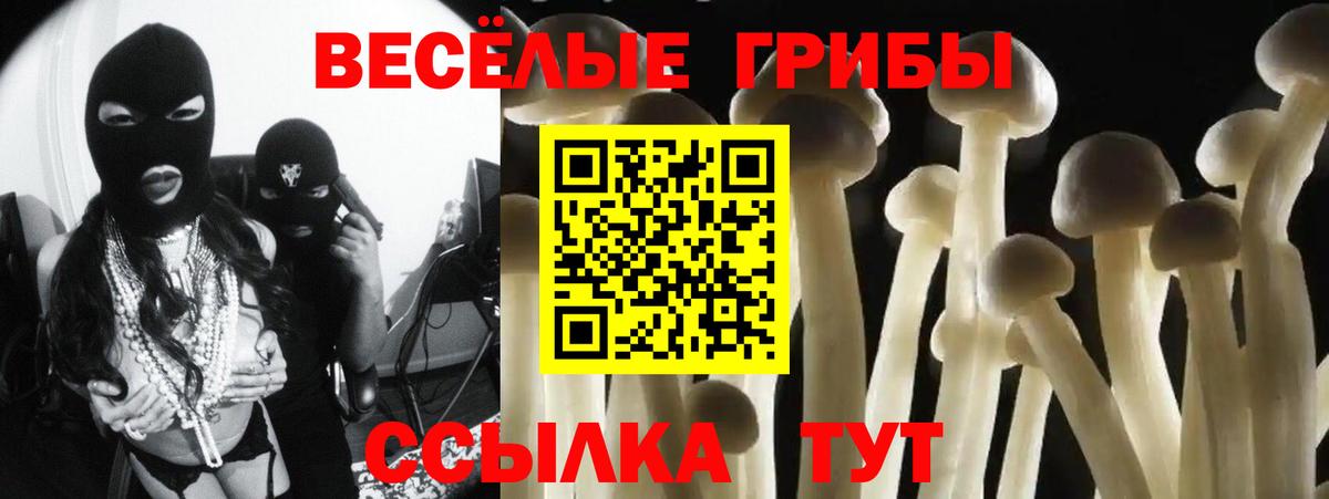 Галлюциногенные грибы Psilocybine cubensis  Вход с VPN  Галлюциногенные грибы ЛСД  Сызрань 